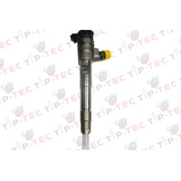 Einspritzdüse Injektor BOSCH 0445110800 166007427R H820