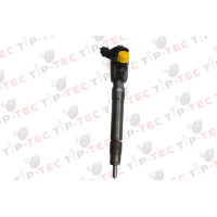 Einspritzdüse Injektor 0445110546 0986435273 166007885R