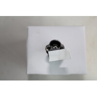 Neu Einspritzdüse Injektor DAF XF CF 2403777 2394547N 2