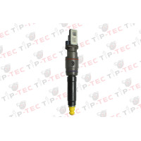Einspritzdüse Injektor NEU DAF XF CF DELPHI 2403778 2314737 2383579 2394548 Injector