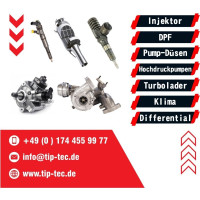 Einspritzdüse, Injektor  Prüfen + Reparatur  ALLE Marken, Alle Hersteller