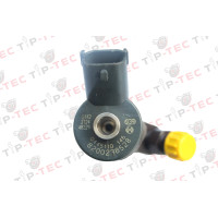 Einspritzdüse Injektor BOSCH 0445110146 0445110230 RENAULT LAGUNA MEGANE II 1.9 dCi