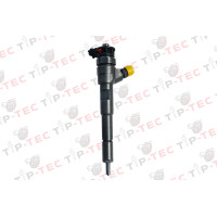 Einspritzdüse Injektor 0445110652 H8201453073 166000121