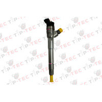 Einspritzdüse Injektor 0445110895 166003281R Renault 1.