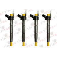 4x Injektor Einspritzdüse 0445116024 BMW 320d 530d X5 X 730d 13537805428 7805429