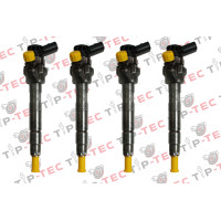 4x Einspritzdüse Injektor 0445110382 BMW 320d 520d 330d 530d 0445110479 1353 7810702