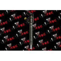 Einspritzdüse Injektor Bosch 0445110078 0986435120 Volv
