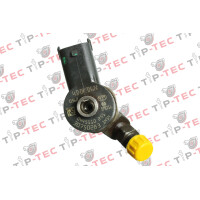 Einspritzdüse Injektor Bosch 0445110251 0986435125 Volv