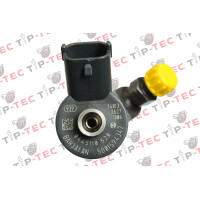 Einspritzdüse Injektor 0445110520 0445110418 Iveco Fiat
