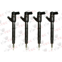 4 x Einspritzdüse Injektor Bosch 0445110256 0445110255 